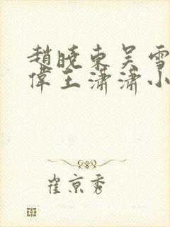 赵晓东吴雪晴郑伟王潇潇小说