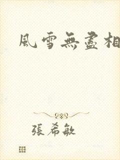 风雪无尽相思情封面