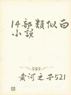 14部类似白洁小说