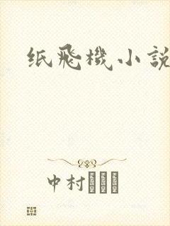 纸飞机小说封面