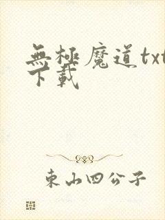 无极魔道txt下载封面