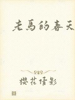 老马的春天敏静