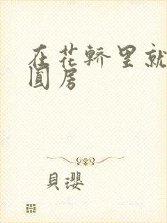 在花轿里就开始圆房