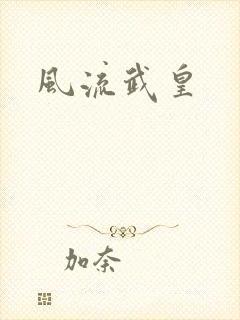 风流武皇封面