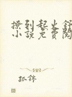 撩到起火舒漾的小说免费阅读全文