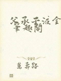 父承子液金银花 笔趣阁封面