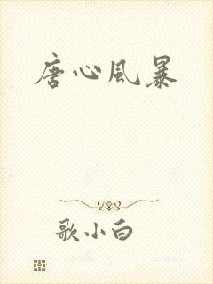 唐心风暴