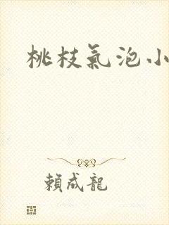 桃枝气泡小说封面