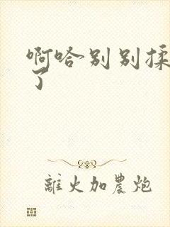 啊哈别别揉那处了封面