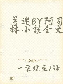 着迷BY阿司匹林小说全文免费阅读