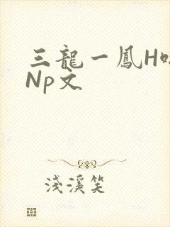 三龙一凤H啪肉Np文