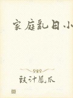 家庭乱日小说