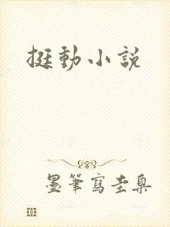 挺动小说