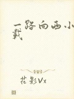 一路向西小说下载