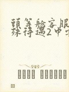 头等舱客服的特殊待遇2中字