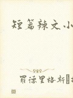 短篇辣文小说封面