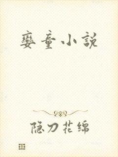 娈童小说封面