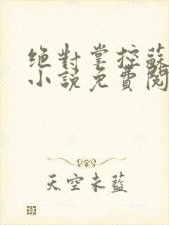 绝对掌控苏绵绵小说免费阅读全文