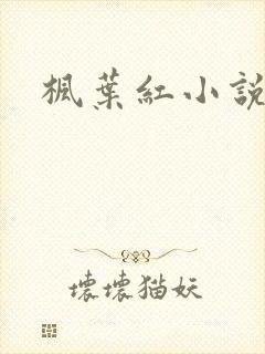 枫叶红小说