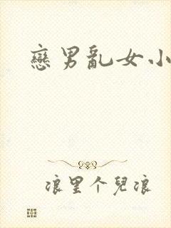 恋男乱女小说