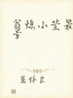 翁熄小莹最新节章