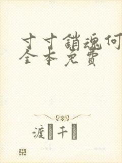 寸寸销魂何生祥全本免费