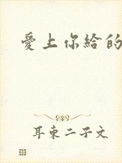 爱上你给的痛封面