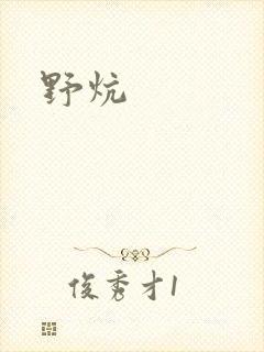 野炕封面