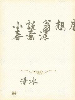 小说 翁想房中春意浓