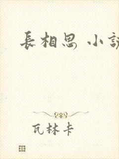 长相思 小说