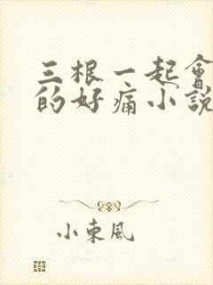 三根一起会坏掉的好痛小说封面