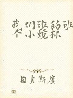 我们班的班花是个小烧杯封面