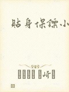 贴身保镖小说封面