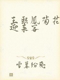 王熙凤菊花门初迎来客