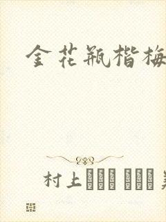 金花瓶楷梅花5封面