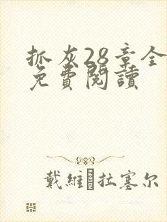 抓灰28章全部免费阅读