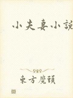 小夫妻小说
