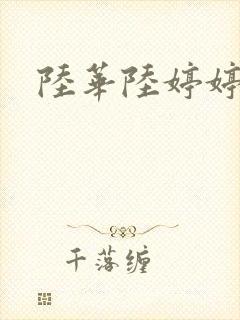 陆华陆婷婷封面