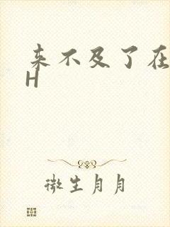 来不及了在车CH