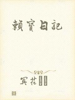 赖宝日记封面