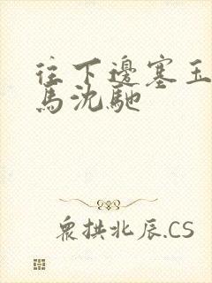 往下边塞玉器骑马沈驰