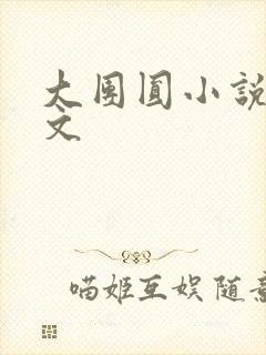 大团圆小说集全文