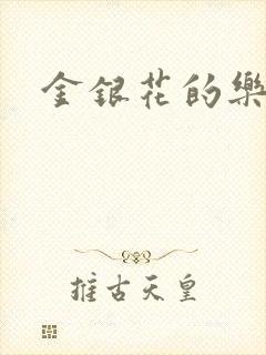 金银花的乐可封面