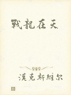 战龙在天封面