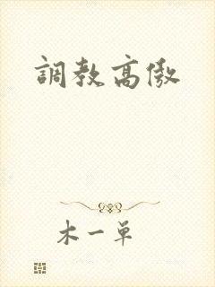 调教高傲