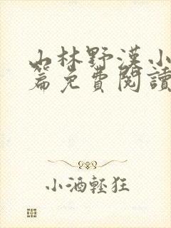 山林野汉小说全篇免费阅读封面