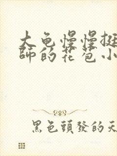 大龟慢慢挺进老师的花苞小说