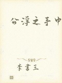 公浮之手中字5