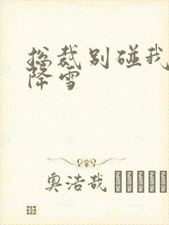 总裁别碰我 韩降雪