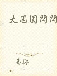 大团圆闪闪发光封面